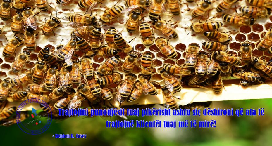Mos i shtyni punonjësit besnikë deri në pikën ku nuk duan t'ja dijnë më!